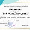 Завершено безоплатний курс з підвищення рівня володіння державною мовою для керівників та працівників гуртків спортивного спрямування 