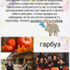 Інтерактивна вікторина присвячена Дню української писемності та мови