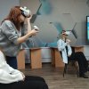 Сучасне мистецтво з технологією віртуальної реальності