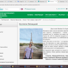 День захисників і захисниць України